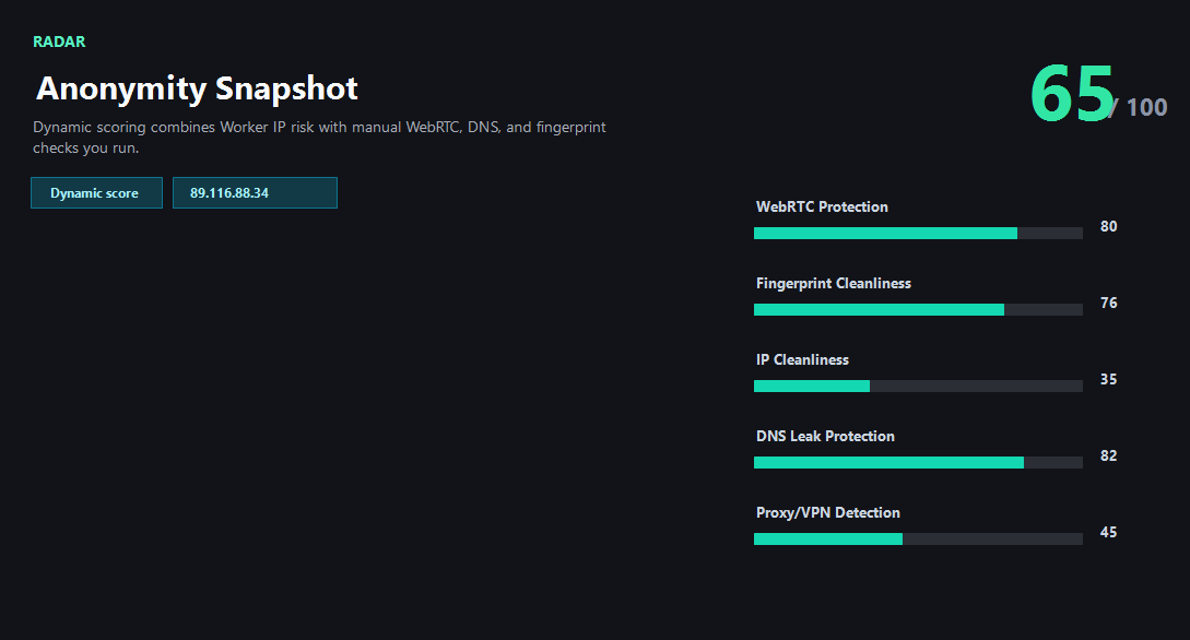 ping123 login safety check result showing score, IP, DNS, WebRTC, and browser consistency signals